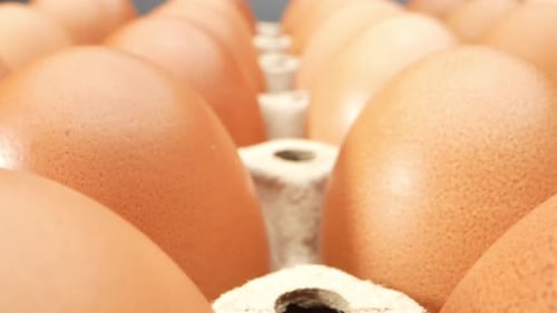 Explore the mesmerizing world of fresh eggs as they rest delicately in a paper tray.