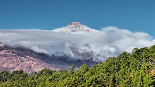 Mount Teide Volcano Raising Above Clouds and Pine Forest in Tenerife Canary Islands