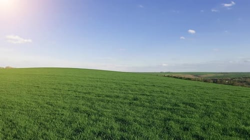Aerial view of beautiful agricultural field at daytime. Rural landscape
