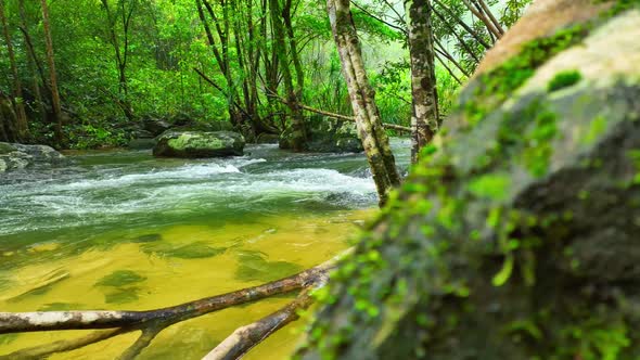 Experience the epic beauty of an amazing stream., Nature Stock Footage ...