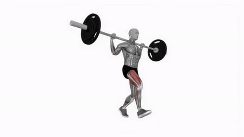 Anatomical Barbell Lunge Animation for Fitness