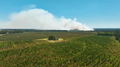 View From Above of Dense Smoke From Woodland and Field on Fire Rising Up Polluting Air