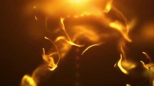 Fluid Golden Sparkling Particles Abstract Motion Background