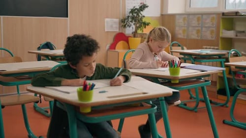 Educación primaria: estudios en la escuela, alumnos multirraciales, niños multiétnicos, diversidad