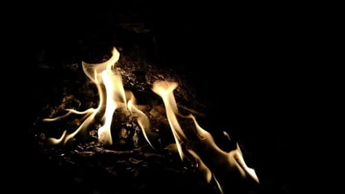 Fire flame
