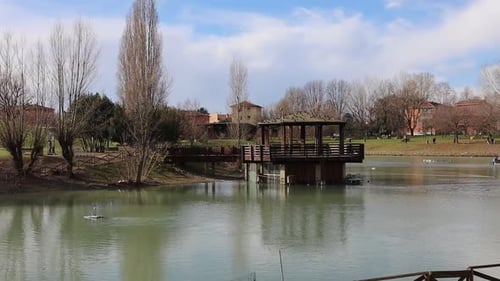 Artificial lake in Bologna, Italy. Wild birds flying in search of food