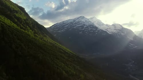 Aerial Drone the Canyon Lots of Green Forest Tress on the Side of the Mountain With a River