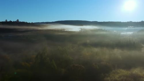 Foggy Clouds Covering Lush Tree Forest At Sunrise In Paiosaco, A Laracha, A Coruna, Spain.