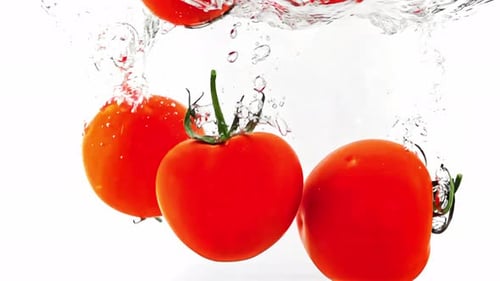 Fresh Red Tomatoes Falling into Clear Water
