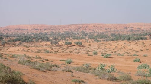 Handheld Middle Eastern Road Trip Firstperson View on a Deserted Arean View of the Desert and Plants