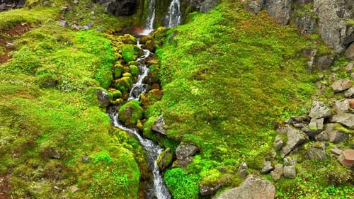 Rushing Water Cascades Over Rocks in a Mountain Stream Surrounded By Lush Green Grass and Moss