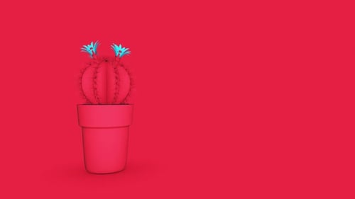 Cactus Pink