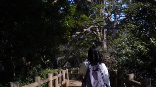 Back of female walking through beautiful hiking path in nature