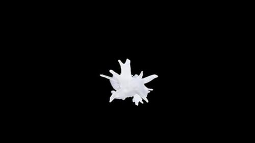 Abstract White Splash on Black Background