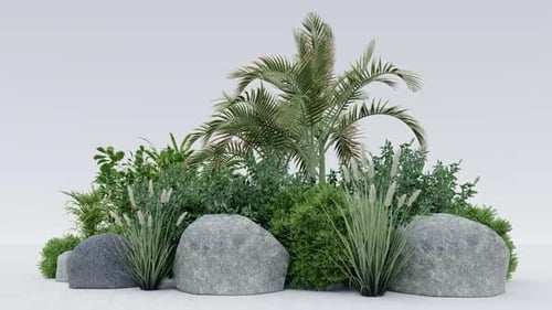 Lush Green Plant Arrangement with Stones