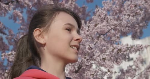 Spring Rhinitis