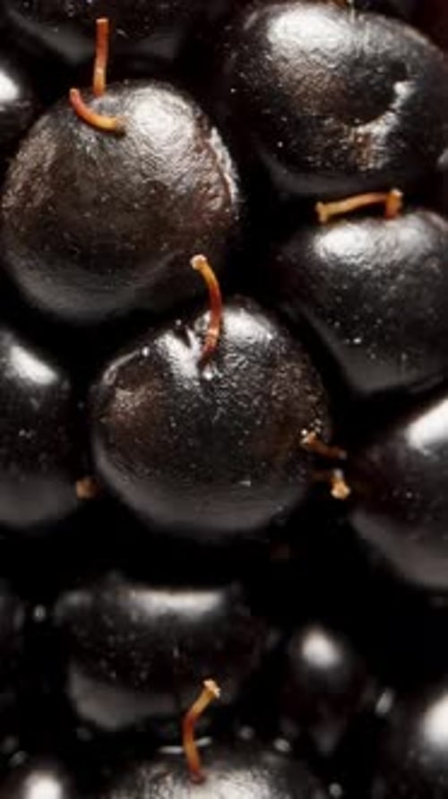 Vertical video. The blackberry rotates on a black background and moves away from the camera