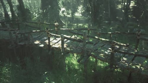 Historical Vinedraped Rope Bridge Featuring Aged Planks and Mysterious Ambiance