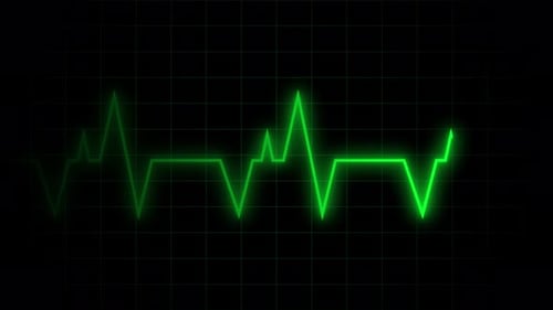 Hospital Heart Rate Monitor Screen Interface