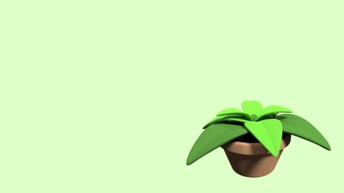 Plants in pot. 3d render house plant with green leaves. 4K seamless loop video footage