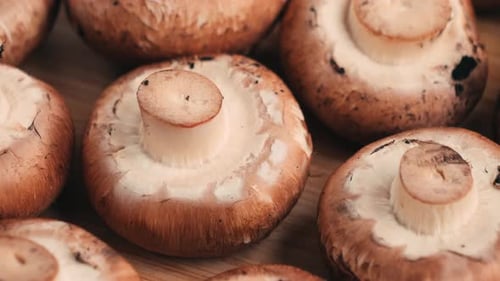 Champignons fraîchement cueillis sur la maison, cuisine, gros plan, texture d'un champignon brun, femme cuisinant délicieusement