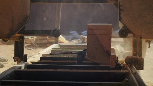 Wood Cutting Machine Cutting Wood