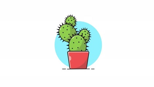 4k Cute Cactus Plant Animation Video