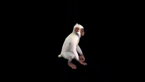 Monkey Sneeze