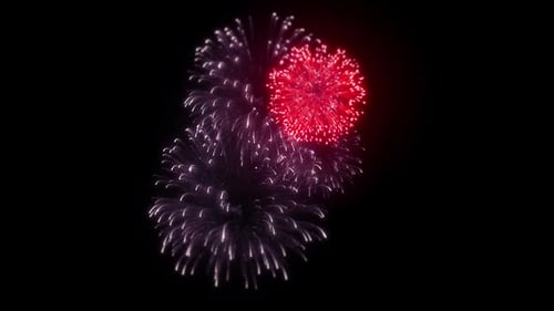 Beautiful Bursting Fireworks in Night Sky Celebration