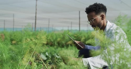 Plant scientist, inspection and a man with a tablet for research and ecology growth progress
