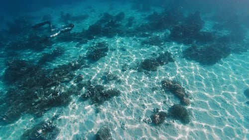 Freediver Swims Underwater in the Calm Tropical Sea and Glides Over the Coral Reef with Sandy