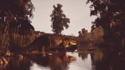 Crocodile traversant la rive au coucher du soleil près d'une végétation luxuriante