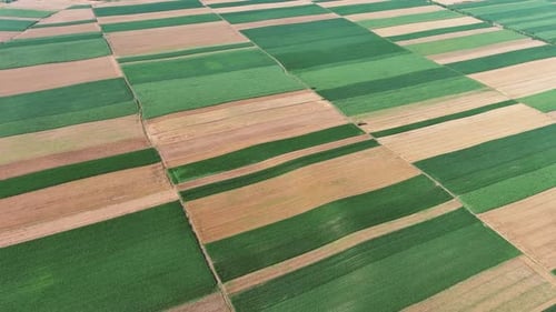 Aerial View of Agriculture Fields