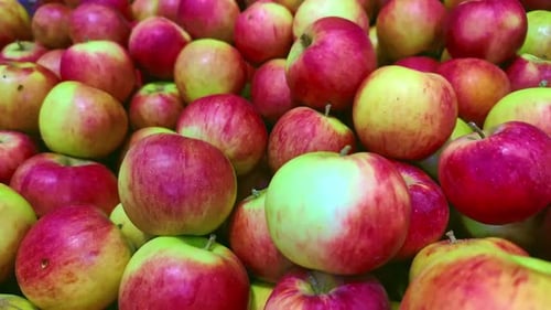 Pila de manzanas rojas orgánicas en un puesto del mercado