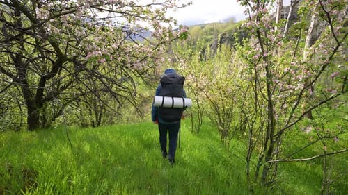 Vídeo de viaje: hombre caminando en una hermosa naturaleza en primavera