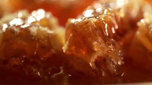 Golden Fresh Honeycomb rotiert langsam