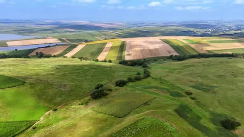 Aerial View of Diverse Farmland and Lake on Sunny Day