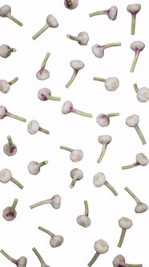 Falling Garlic Scapes on White Background Loop