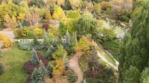 colorful trees park autumn