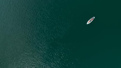 Aerial View Paddleboarding Journey Through a Lush Green Canyon
