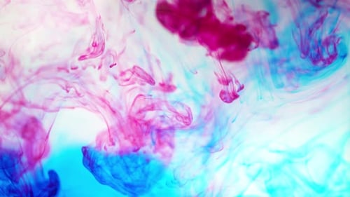Abstract Pink and Blue Ink Swirls in Liquid