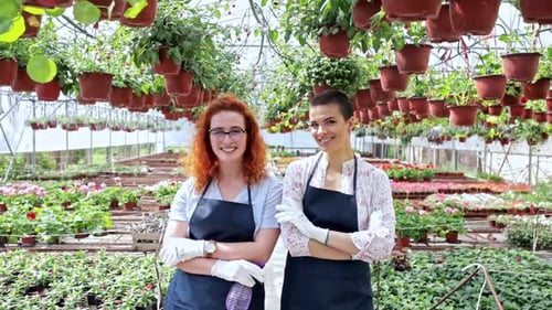 Smiling Women Working in Plant Nursery Greenhouse