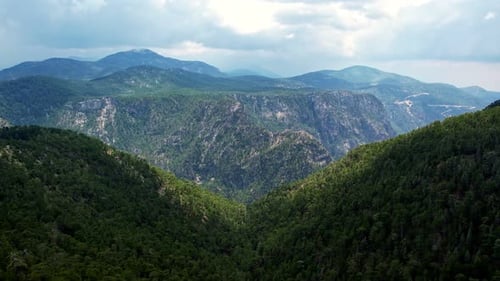 Tropical Landscape with Mountains and Jungle