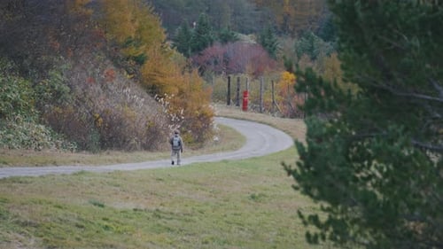 Adult Man Walking In The Countryside Passing By Autumn Trees In Mountain Hill. - wide shot