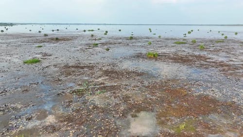 An aerial view of wetland.
