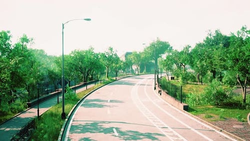 Empty Asphalt Road in City with Trees