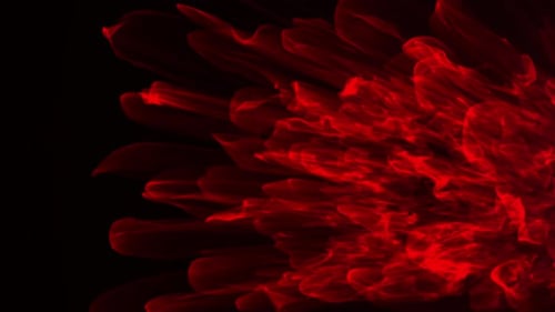 Abstract Fluid Red Light Organic Motion Background