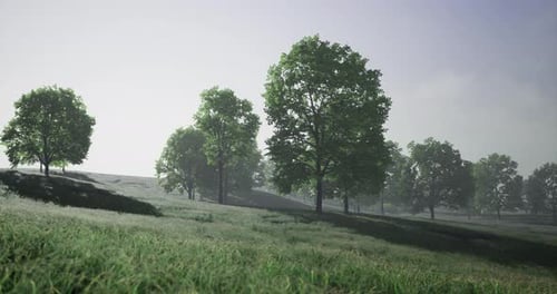 Green Trees and Grassy Landscape Under Bright Sky During Daylight