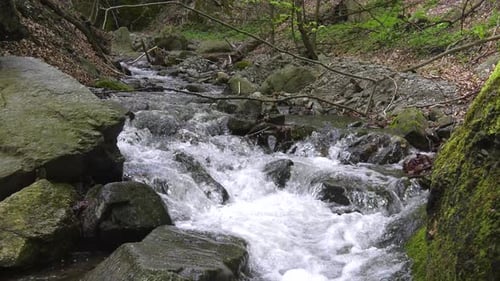 River flowing fast among the stones