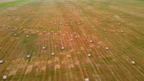 Aerial View Hay Bales in Field During Summer